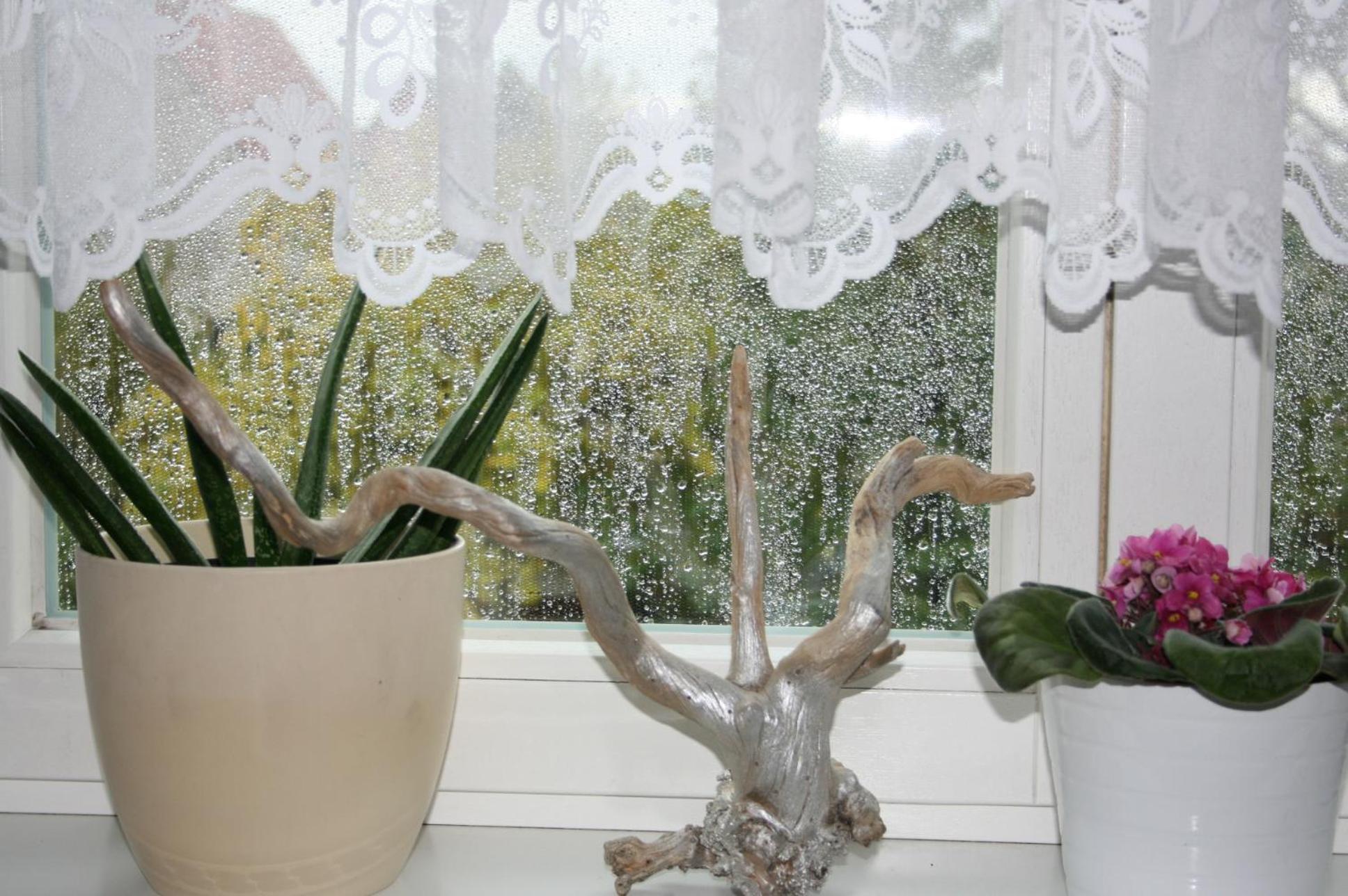 Ferien Oase Am Ber Apartment Schönefeld Екстериор снимка