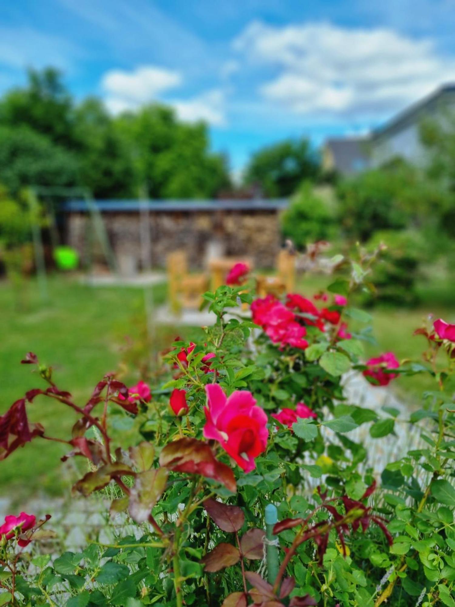 Ferien Oase Am Ber Apartment Schönefeld Екстериор снимка